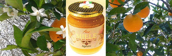 AGRUMI - Miele biologico artiginale - Michele Oliva