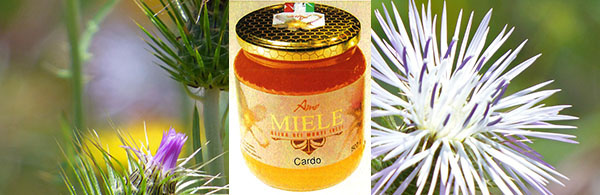CARDO - Miele biologico artiginale - Michele Oliva