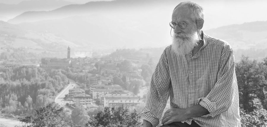 Bevanda a base di radice di cicoria tostata, proprietà toniche, depurative e diuretiche Bevanda a base di radice di cicoria tostata, proprietà toniche, depurative e diuretiche