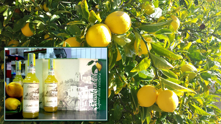Non c'è delizia al limone più buona di questa di Gambardella