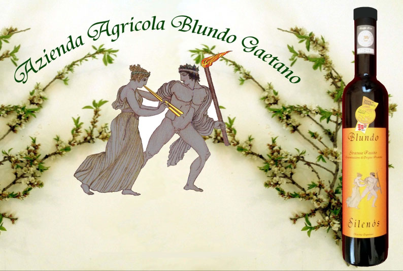 Silenòs Siracusa Passito D.O.P. annata 2016 Silenòs Siracusa Passito D.O.P. annata 2016